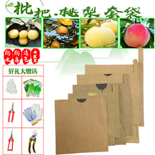 套梨袋苹果保护梨套袋桃子柚子李子防水纸袋防鸟透气双层枇杷