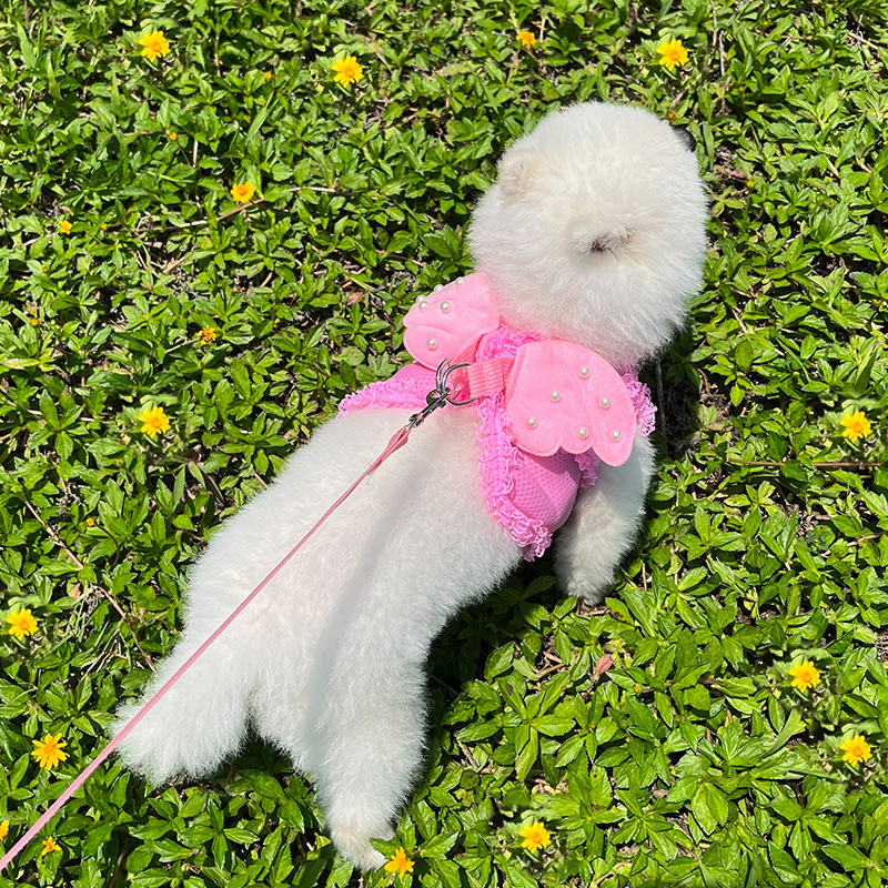 İnci Melek Prenses Köpek Kedi Göğüs Kayışı Çekme Halatı Evcil Hayvan Malzemeleri İlkbahar/Yaz Nefes Alabilir_voghion.com