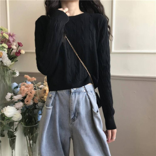 Autumn/Winter White Inner Layer Crew Neck Top 2025 New Korean Style Loose Slimming Broom Flower Long Sleeve Knit Top for Women