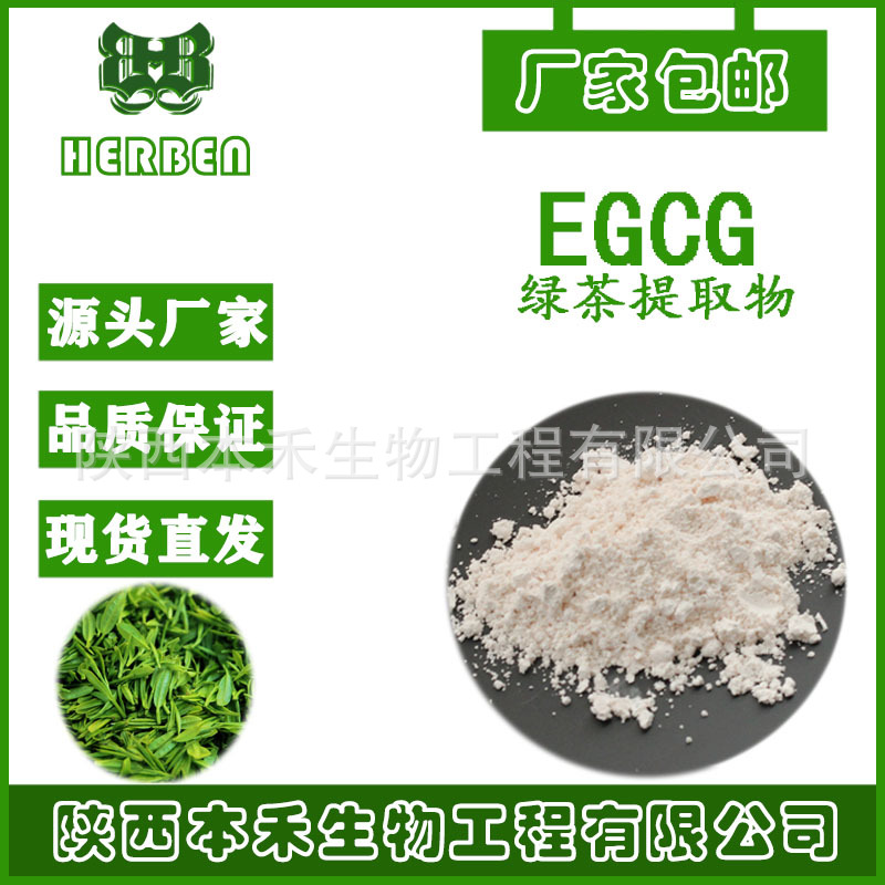 EGCG90%表没食子儿茶素没食子酸酯989-51-5 绿茶提取物多规格ZGC