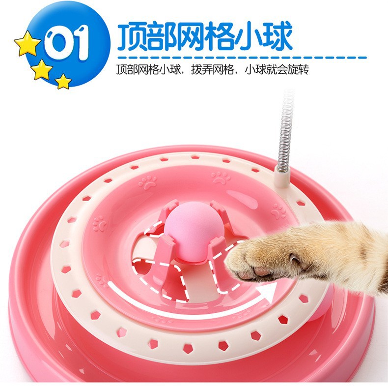 11312412139_595658654