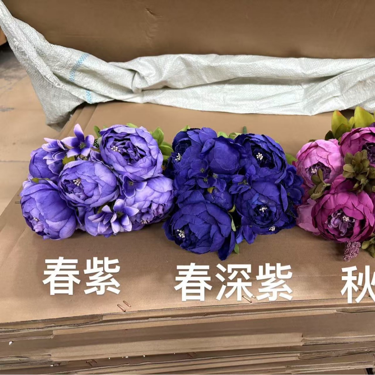 봄 딥 퍼플