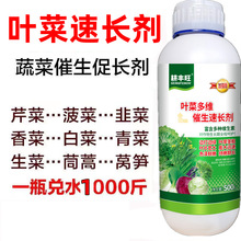 �~�����L���۲˲�������[��ײ˾²˵��燊��G�o���։ѿ������a