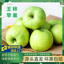 忆脆【香菲王林苹果】头茬鲜果净重4.2-5斤/1箱苹果的贵族