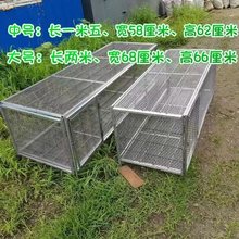 u\FzWش̖SǷ\ӲPgСuBֳ\