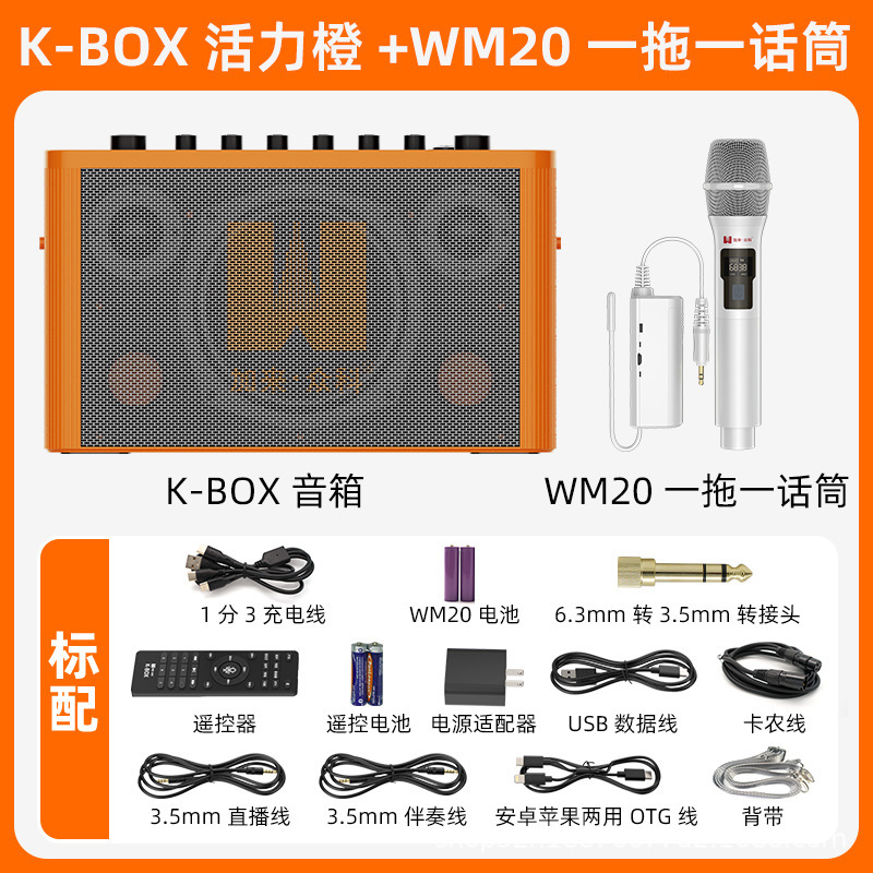 みんなの科のK-BOXの屋外でk歌のスピーカーの家庭用の歌のスピーカーのマイクの設備のテレビのbluetoothのスピーカーを生放送します。|undefined