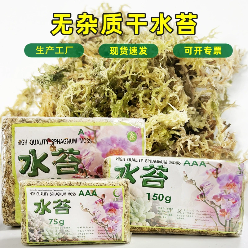 Микродавление сухой Sphagnum орхидея посадка специальное выращивание подложка пейзаж восхождение домашнее животное инкубационный коврик сухой мох готовая поставка