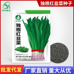 t²˷Nϸ²˷NԴ~t²߲˷NݏSl