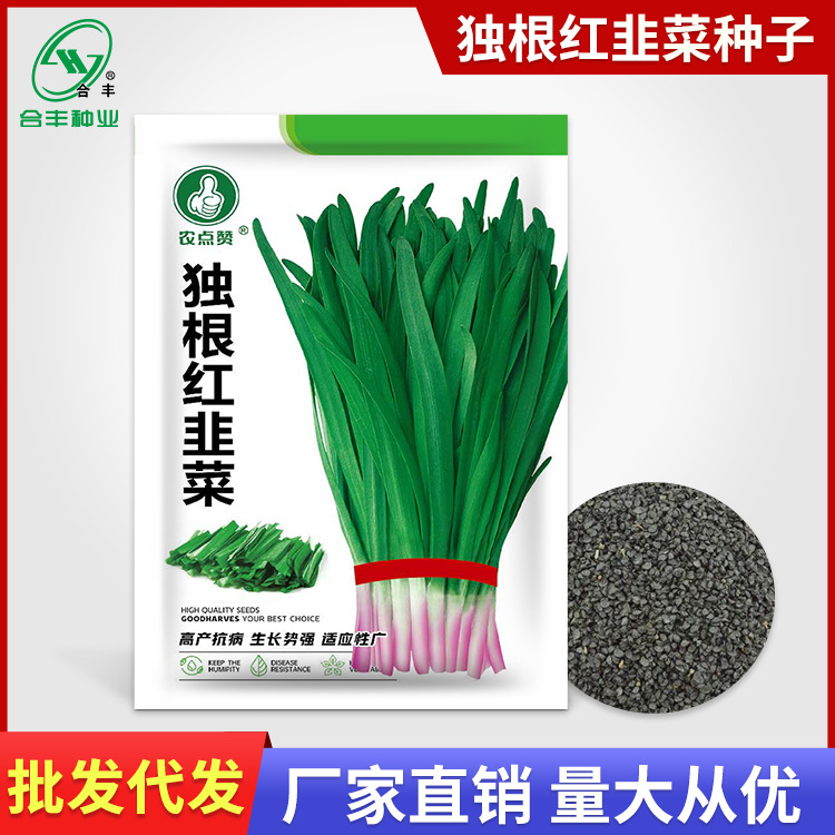 独根红韭菜种子紫根韭菜种籽盆栽大叶红根韭菜籽蔬菜种孑厂家批发