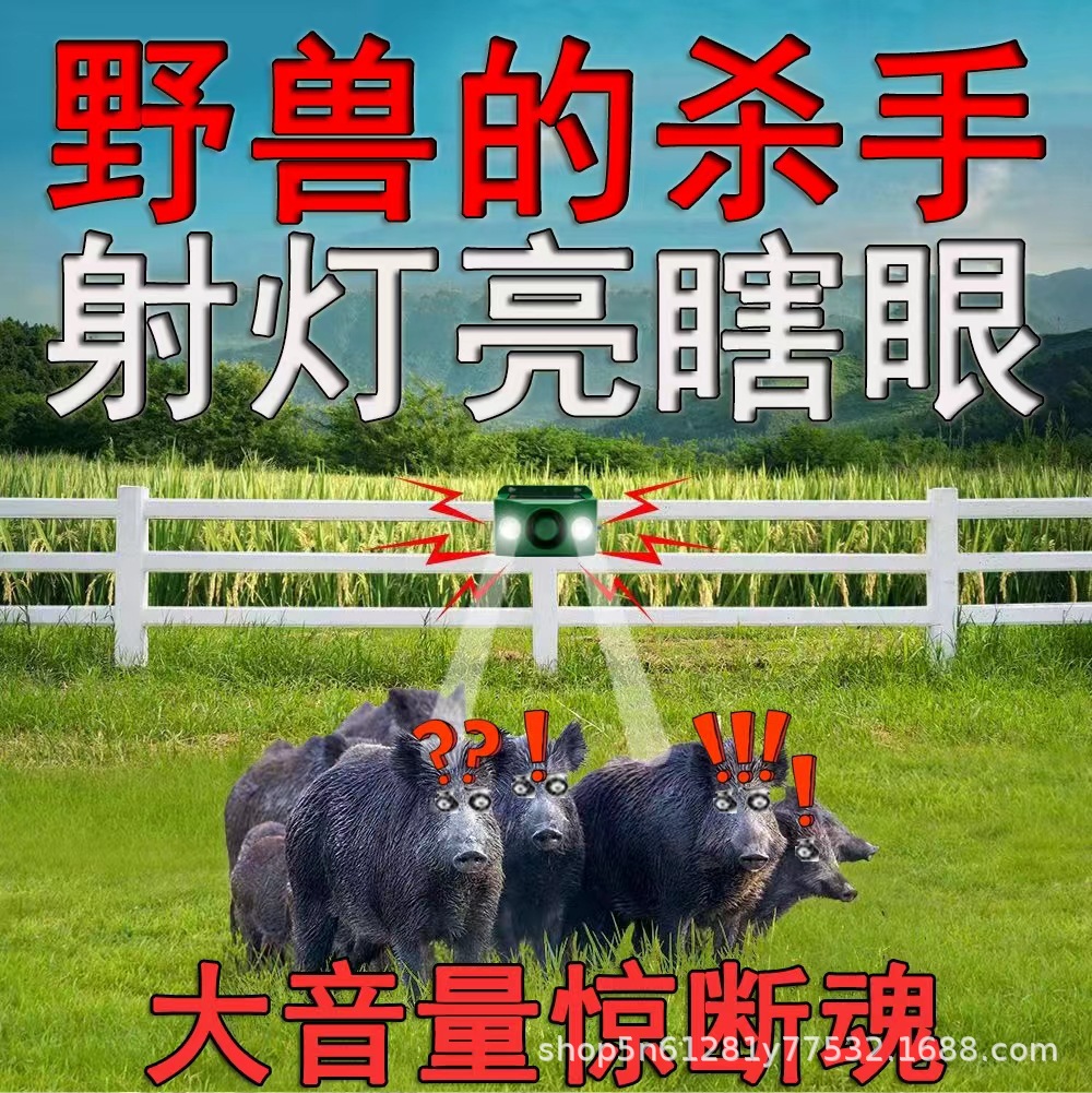 29cb12db96042fcedf1bbb0e87d1ed