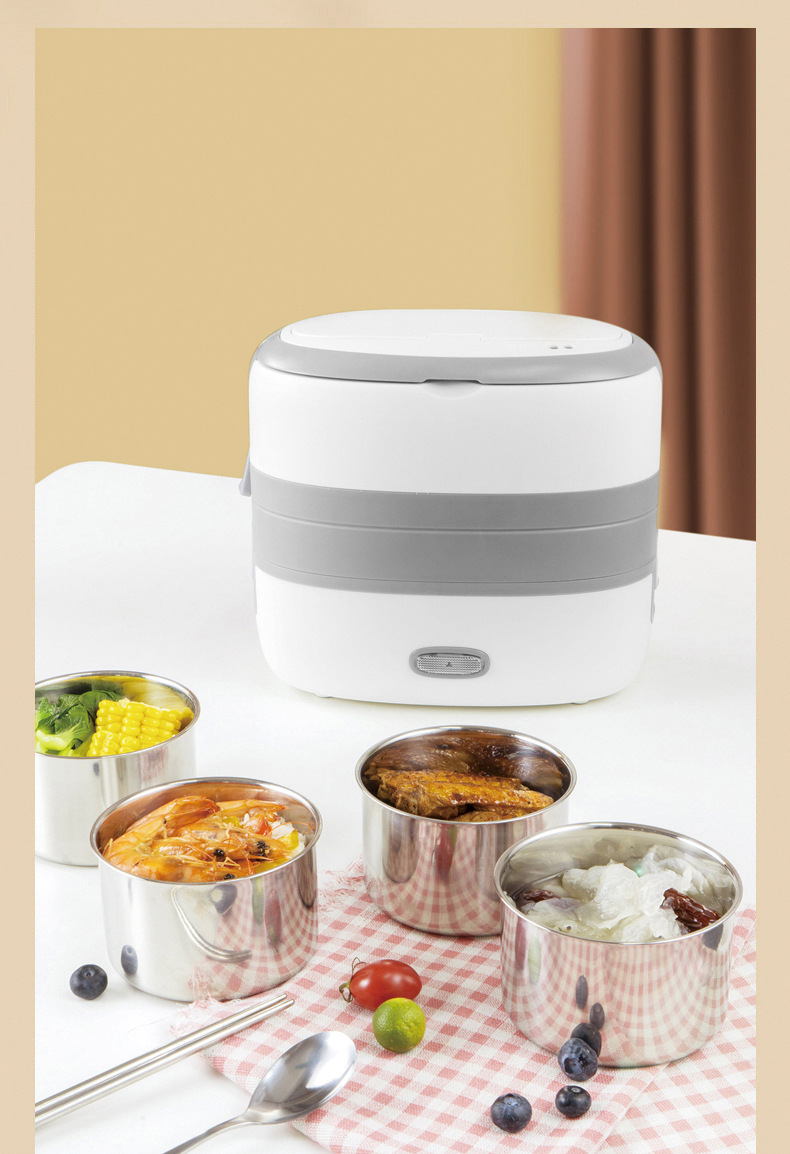 Electric Lunch Box