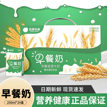 年货礼盒麦香早餐奶250ml*24盒学生老人营养牛奶饮品整箱装