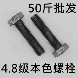 ������������˨ ̼䓱�ɫ�ݽz�M ���B�b���Ï���4.8��