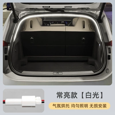 Decorative Tail Light, Led, Other lights - polestar-4-always-on-model-white-light-short-modeloriginal-car-plug-in