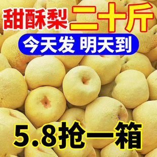 �������殔�����rˮ����������Ƥ�S�������l����S��ֱ�l�羳