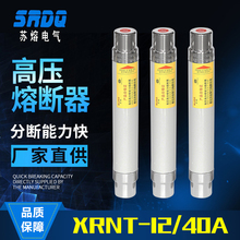 12KV高压高分段限流熔断器XRNT-10KV/10A16A240A环网柜熔管