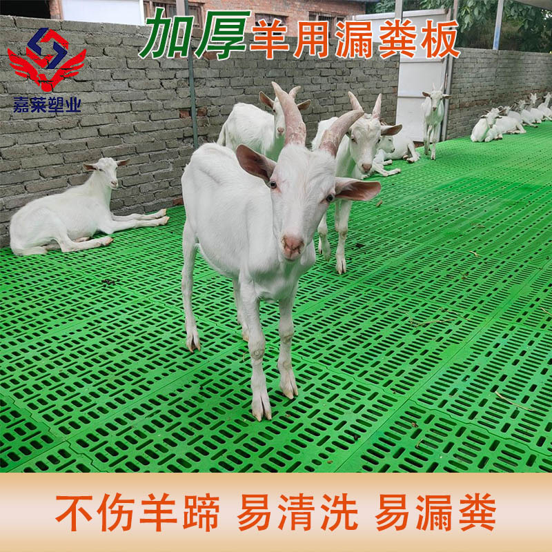 羊床漏粪板塑料羊养羊专用地板接粪漏缝板羊舍羔羊养殖羊用养殖板