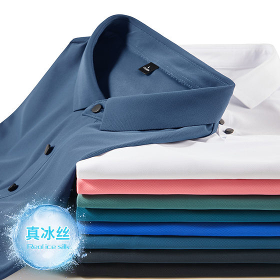 Woodpecker Dad Summer Short Sleeve 2025 New Middle-Aged and Elderly Men's T-Shirt Loose Ice Silk Polo Shirt Top