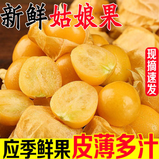 �S��������ږ|���r�����rˮ��������������\���𹽛���