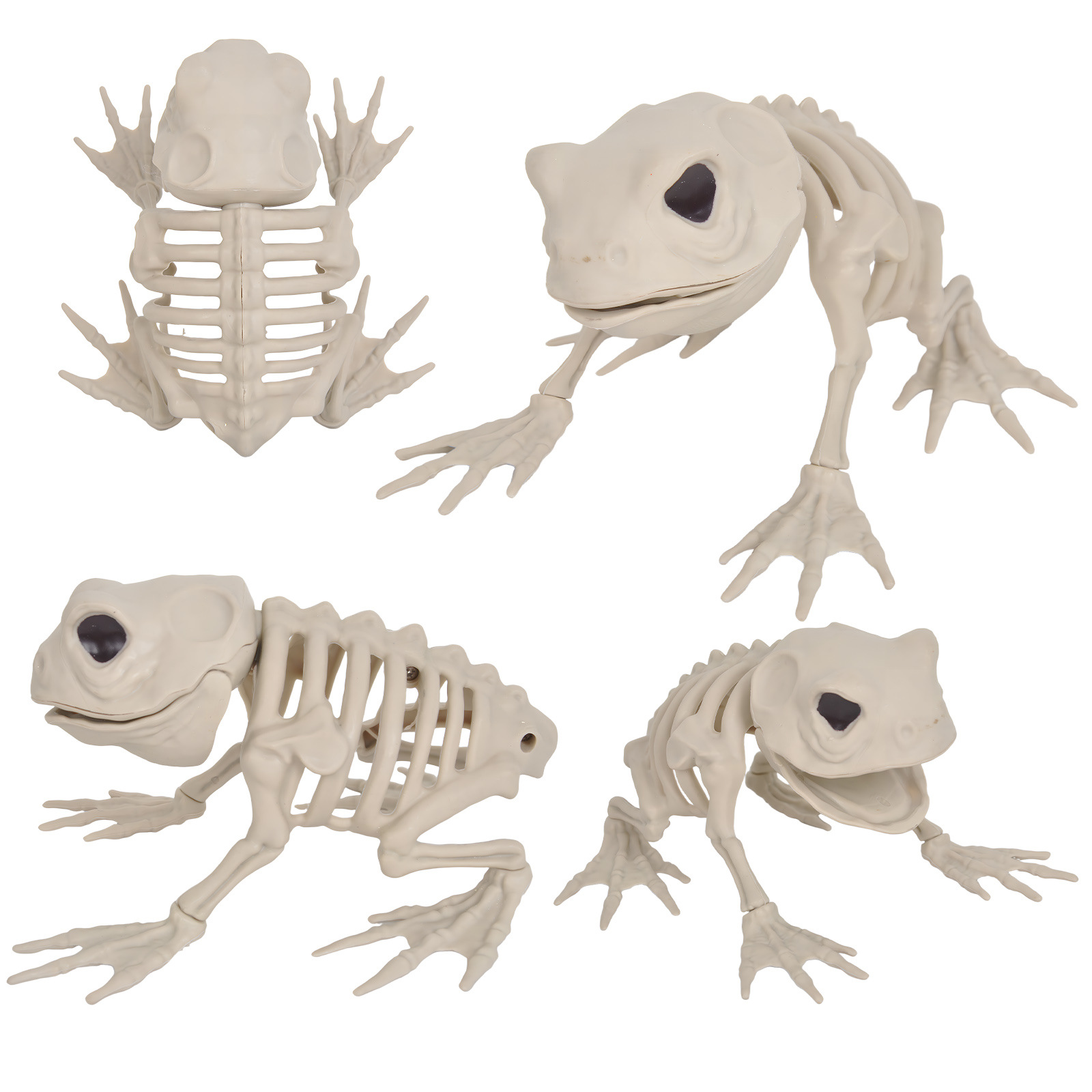 Transfronterizos de Halloween simulación esqueleto de animales decoraciones de terror decoraciones bar decoración de casas embrujadas props esqueleto de plástico