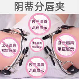sm情趣用品阴夹唇乳夹子乳头刺激阴蒂高潮重口味成人女用玩具道具