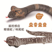 �羳��؈�����Б��b���β�����R�߃�ͯ���M늄���������Є���