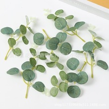 ins�ֹ�����diy�ȼ����~����Ҿ��b羳���l�S�ҾGֲ���滨��ɫ