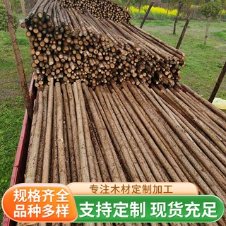 园林景观绿化树木支撑杆杉木杆 树木支撑杆原木木材批发零售