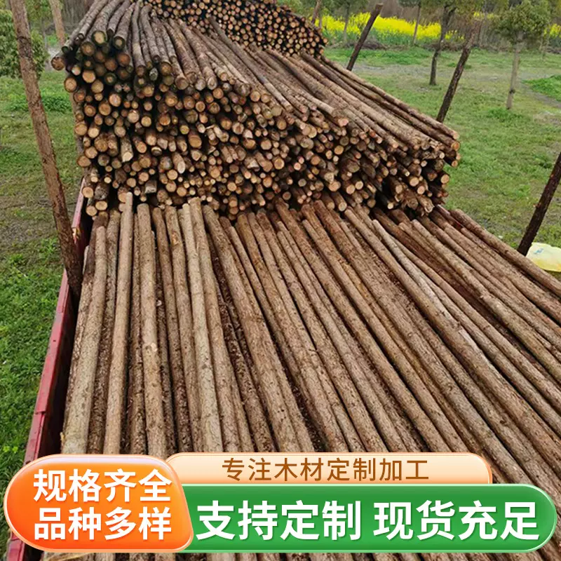 园林景观绿化树木支撑杆杉木杆 树木支撑杆原木木材批发零售