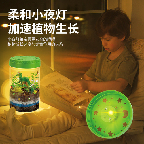 Learn from Yuma dinosaur landscaping ecological planting DIY scientific experiment canned light plant growth children's observation box