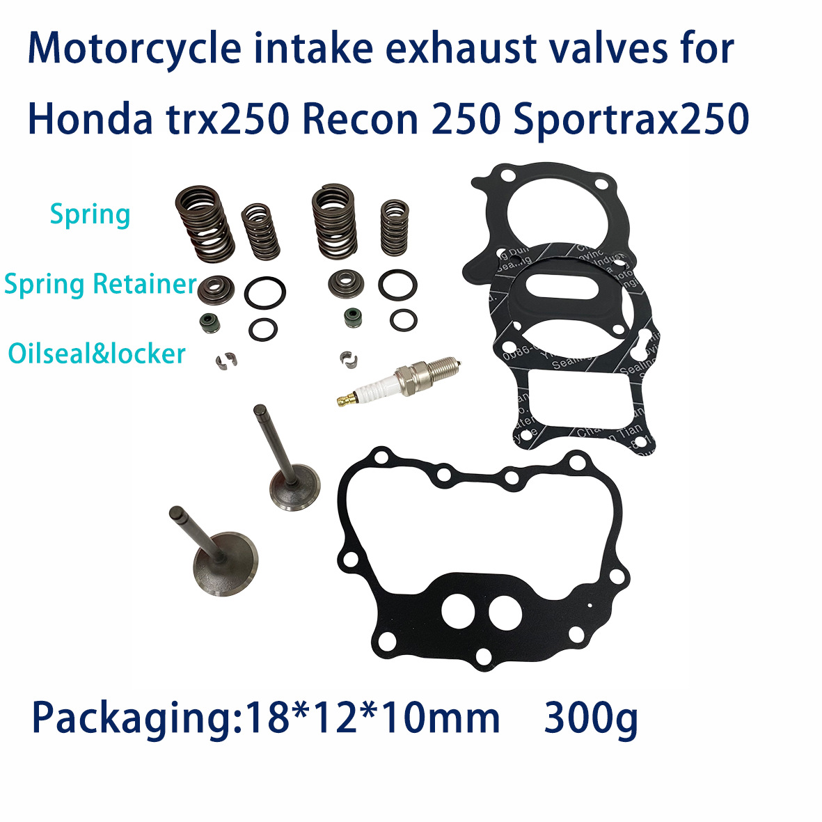 Motorcycle Valve Suitable for Honda Trx250 Recon 250 Sportrax250 Valve Spring Gasket