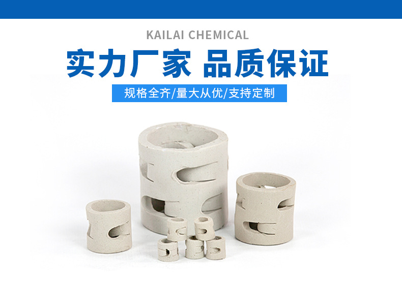 陶瓷鲍尔环PC_01