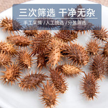 �n���N����؛��ͨ���n����ë�n�ӷ۳����n������؛��؛��؛��؛