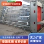自动喂料集蛋背负式蛋鸡笼