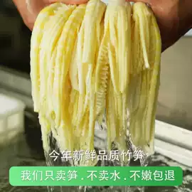 竹笋类;燕窝;肉丸饺类