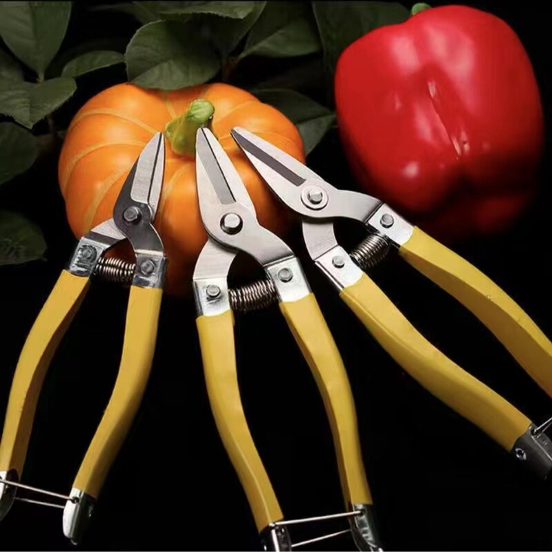 Stainless Steel Fruit Scissors, Fruit Picking Scissors, Citrus Scissors, Vegetable Scissors, Gardening Pruning Shears, Flower Branch Shears Stainless Steel Fruit Scissors, Fruit Picking Scissors, Citrus Scissors, Vegetable Scissors, Gardening Pruning Shears, Flower Branch Shears