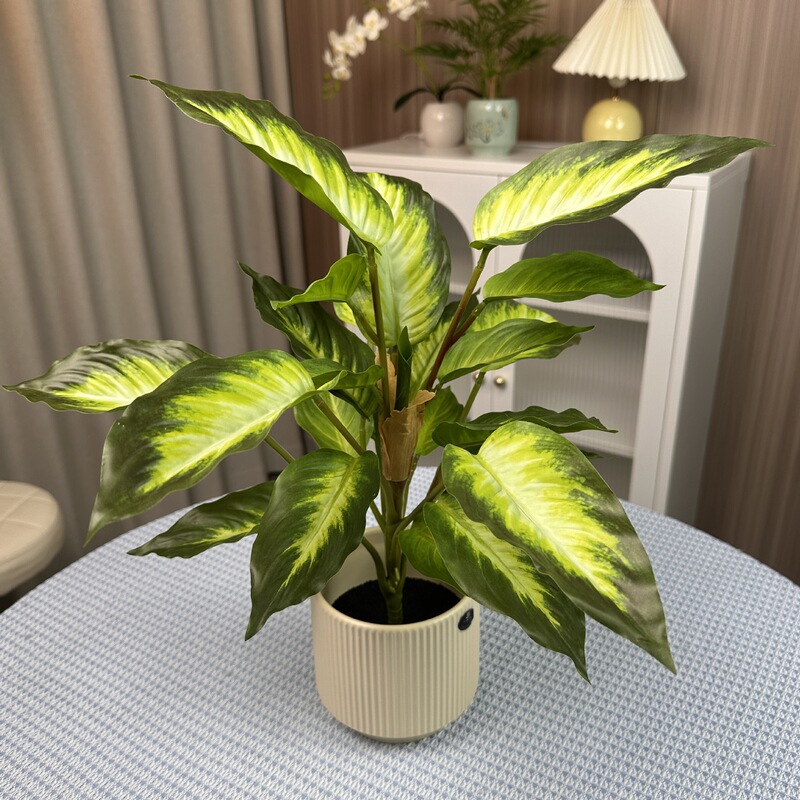 シミュレーション緑植単枝束ブラジル木楡樹葉室内装飾造景竹葵客間装飾シミュレーション植物|undefined