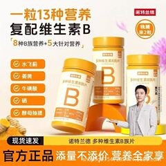 ノットランドの新世代ビタミンB群チュアブル錠、8つのビタミンB群を配合、栄養価がアップ、72カプセルボトル
