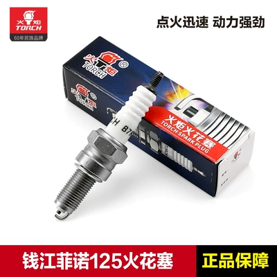 Genuine Torch Original Spark Plug B7Rtc Qianjiang Scooter Fino Qj125T-2C Modified Iridium
