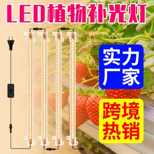led Plant Growth Light indoor plant light bar greenhouse plant fill light Full Spectrum fleshy seedling flowers