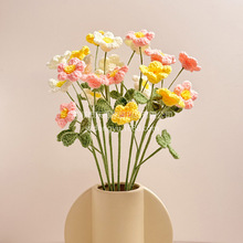 跨境酢浆草手工编织永生花束家居摆饰钩针勾线毛线花朵仿真花成品