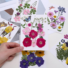 ���ٻ��ɻ����ϰ��滨����1���������N���ֹ�diy���z���Ę�y����