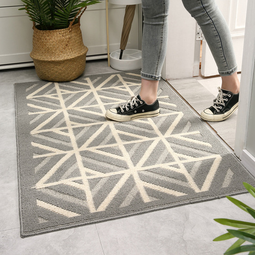 Nordic entrance floor mats, entrance door mats, household door mats, dust-removing, wear-resistant and dirt-resistant entrance carpets