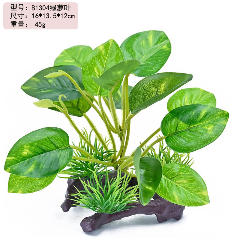 71+yIqNHWZL._AC_SL1000_