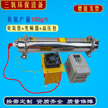 工厂直销100g蜂窝式高浓度臭氧管水冷臭氧发生器工业水处理设备