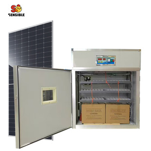 �羳؛Դȫ�Ԅ�̫����u�������C���ܿ؜ؿ؝�