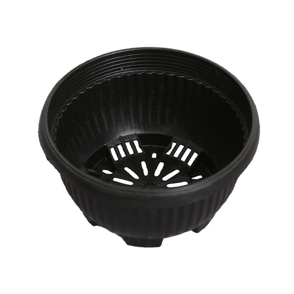 Black plastic flowerpot