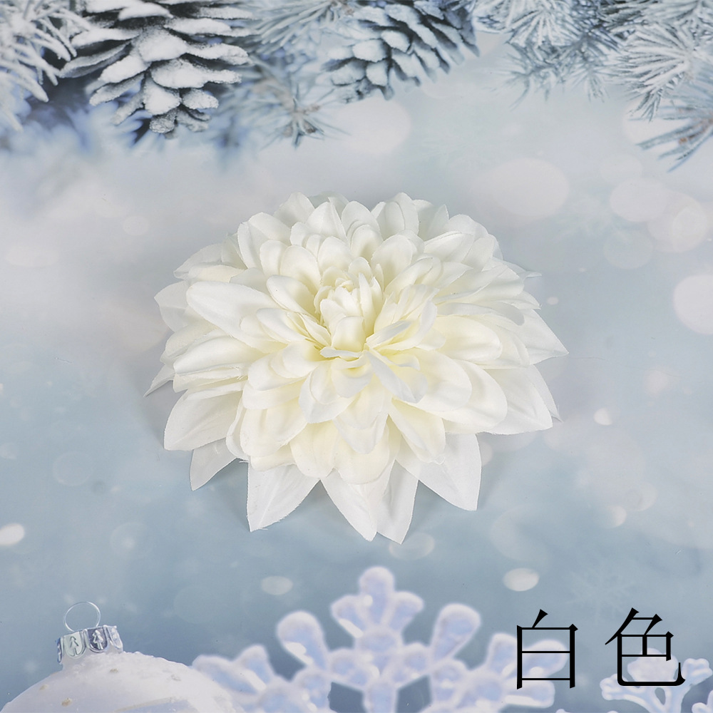 흰색 SL 큰 epiphyllum 꽃 머리