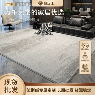 厂家直供意式地毯客厅防水防污免洗可擦轻奢高级感家用地毯一件拿