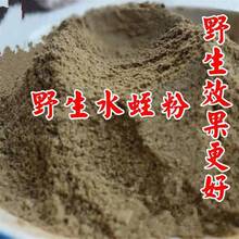 【500克】纯水蛭粉 清水水蛭 蚂蟥干干货100g散装 农产品好货水蛭